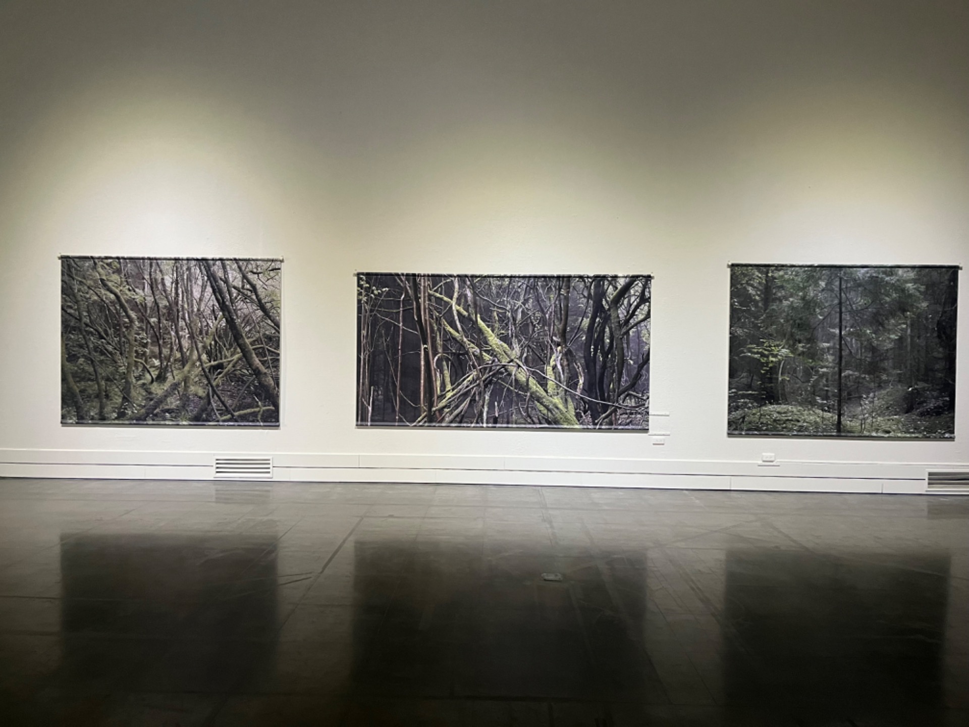 「林野系列」幾乎是與實景比例原貌展出